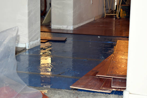 Professional Water Extraction technician working in Littlerock, CA